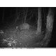 appareil photo chasse invisible