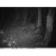  CAMERA DE SURVEILLANCE LOCAUX
