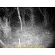 CAMERA NOCTURNE CHASSE  GSM 
