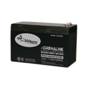 Batterie rechargeable 12V 7Ah